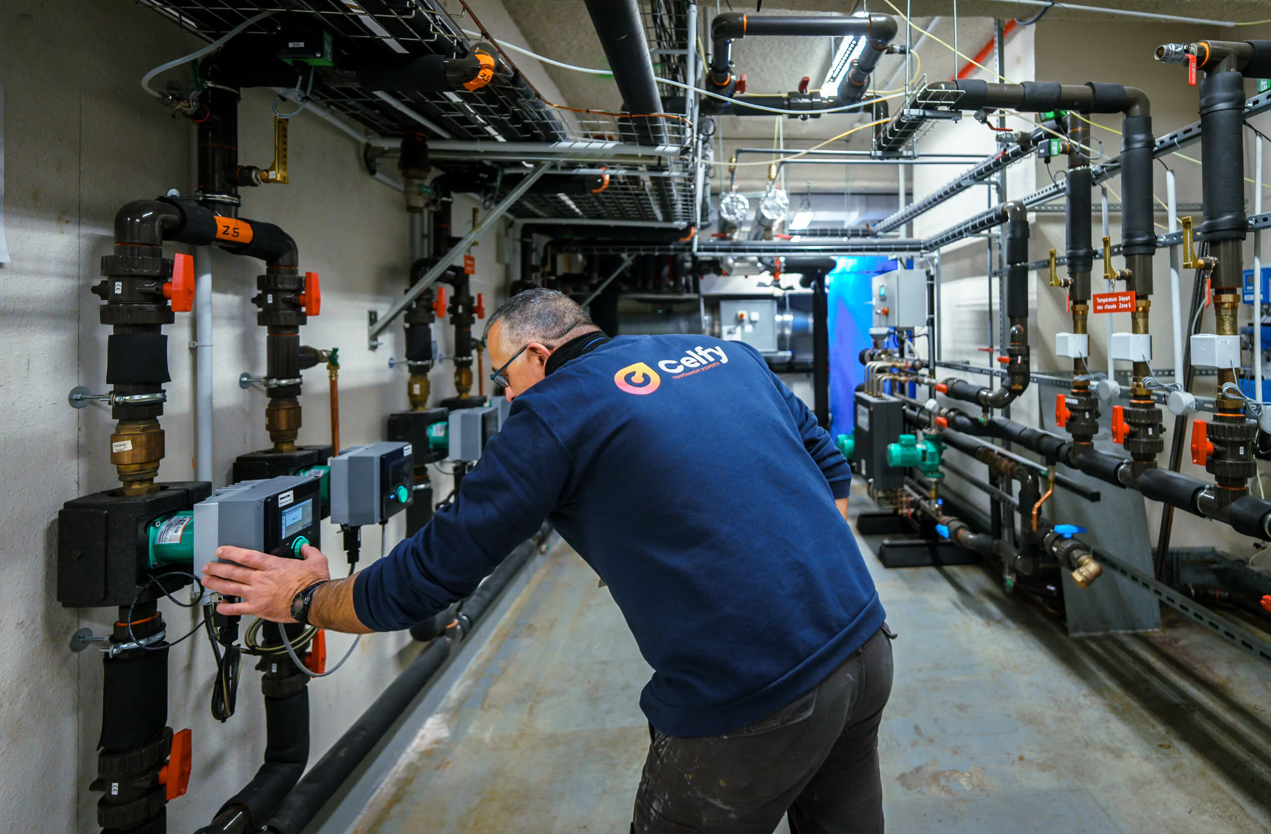 Celfy Tempérament d'expert